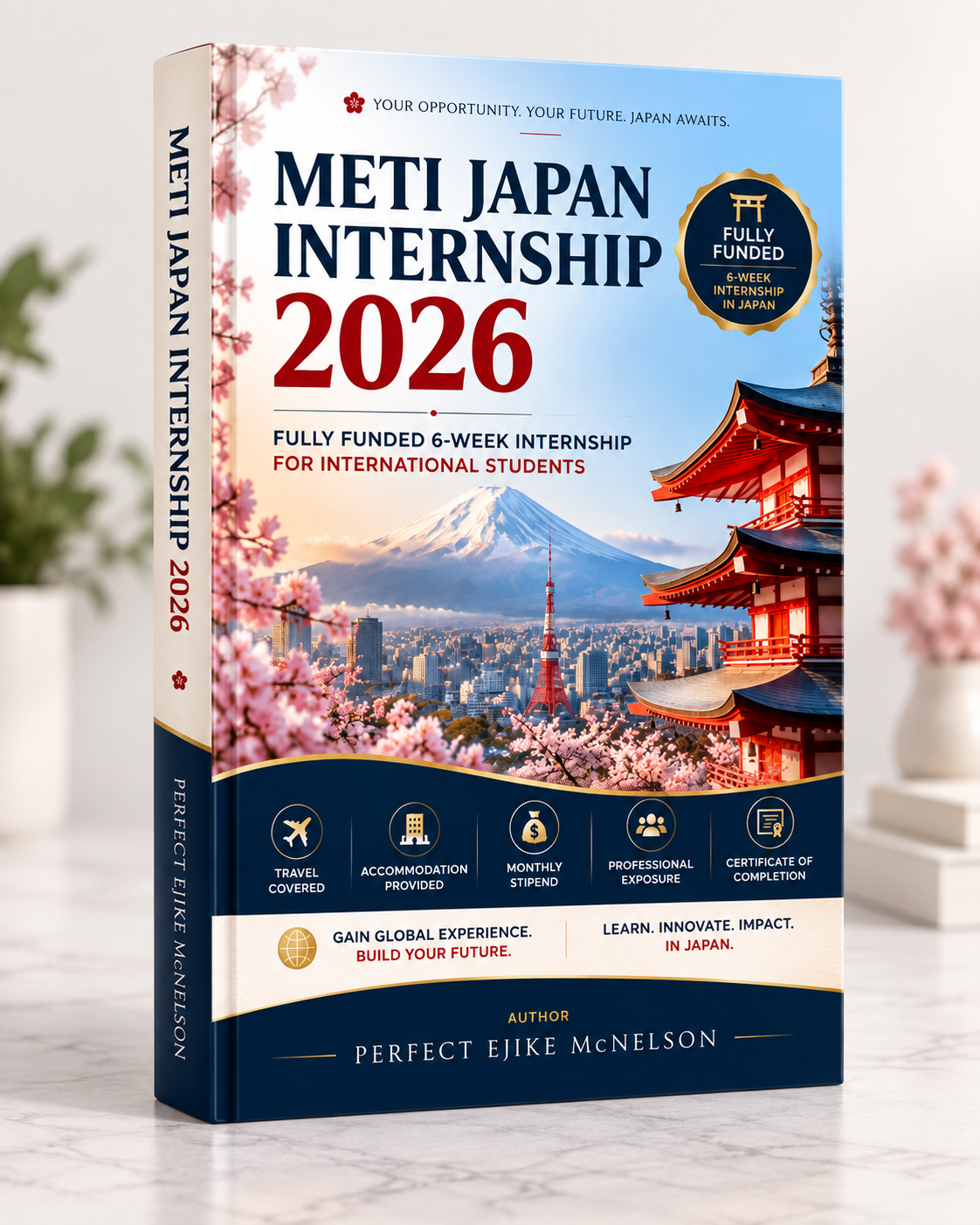 meti japan internship
